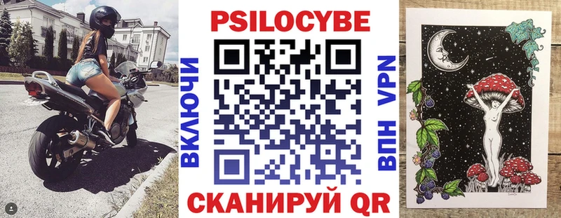 Псилоцибиновые грибы Psilocybine cubensis где купить наркотик Ветлуга